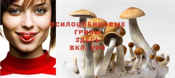 мяу мяу кристалл Каменка