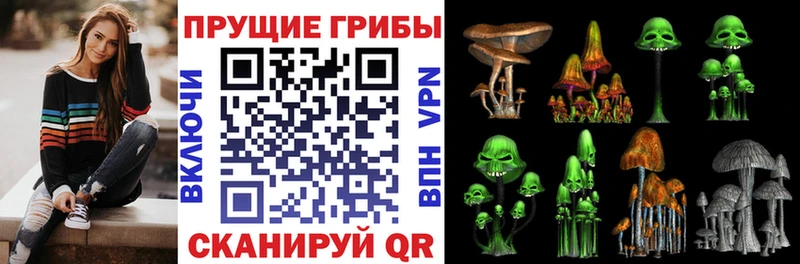 Галлюциногенные грибы MAGIC MUSHROOMS Беломорск