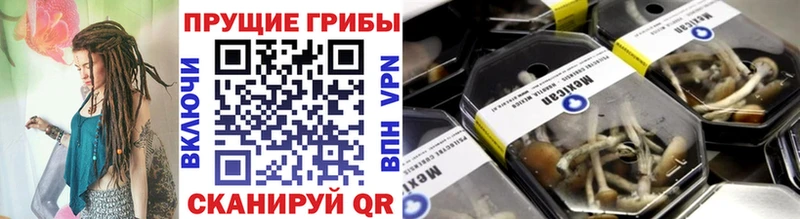 Галлюциногенные грибы GOLDEN TEACHER  Купить  Беломорск 